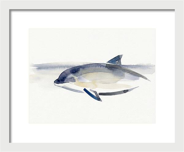 Porpoise In Tranquil Waters