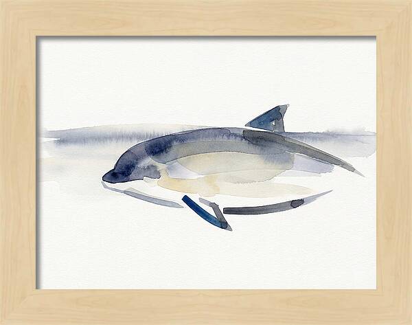 Porpoise In Tranquil Waters