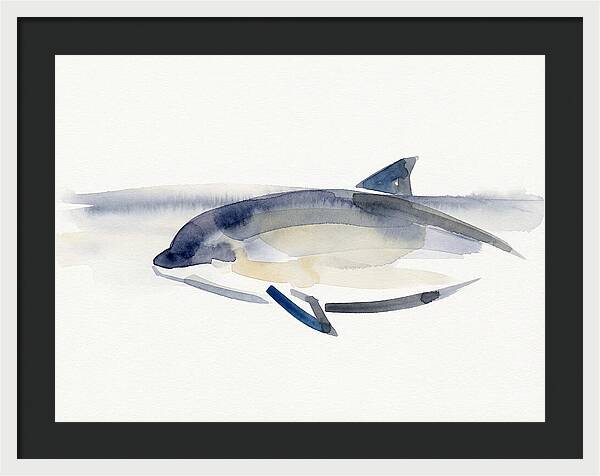 Porpoise In Tranquil Waters