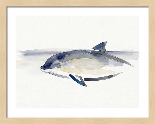 Porpoise In Tranquil Waters