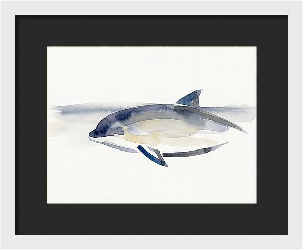 Porpoise In Tranquil Waters