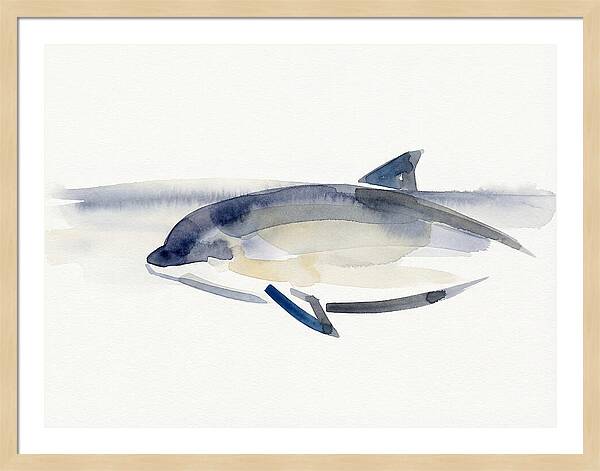 Porpoise In Tranquil Waters
