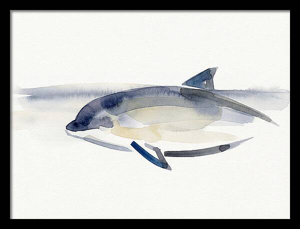 Porpoise In Tranquil Waters