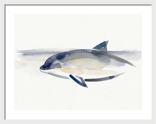 Porpoise In Tranquil Waters