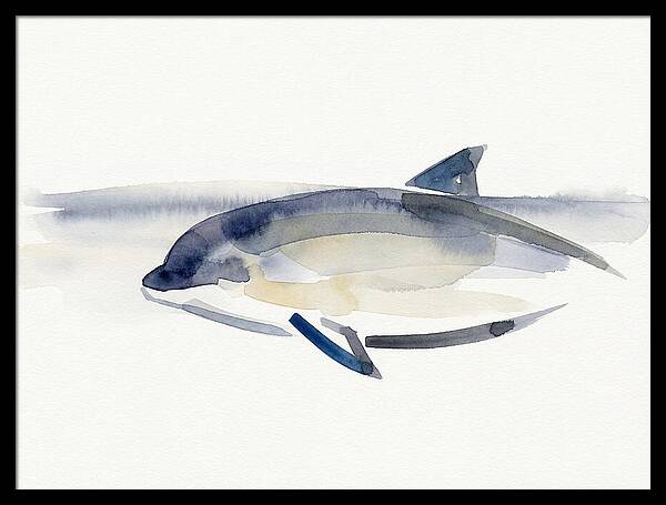 Porpoise In Tranquil Waters
