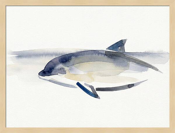Porpoise In Tranquil Waters