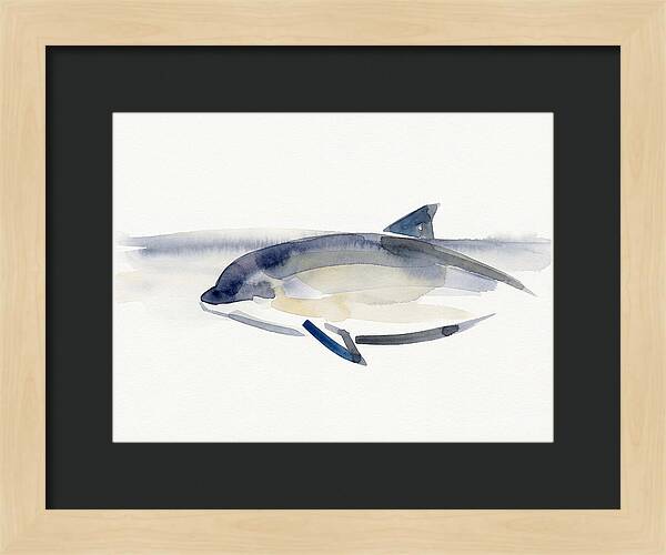 Porpoise In Tranquil Waters