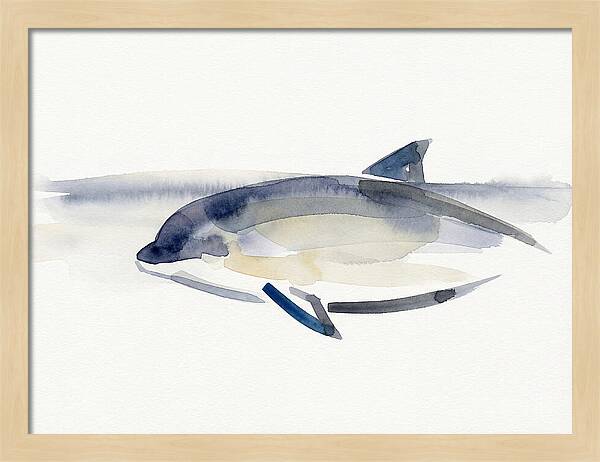 Porpoise In Tranquil Waters