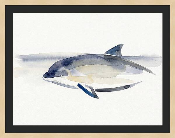 Porpoise In Tranquil Waters