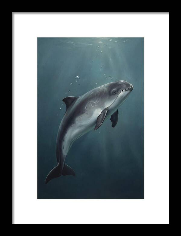 Porpoise Swimming Gracefully