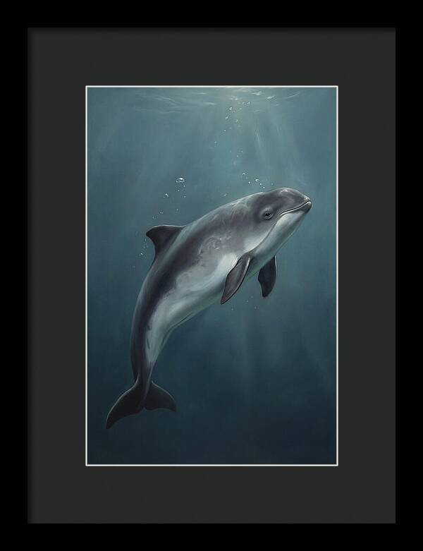 Porpoise Swimming Gracefully