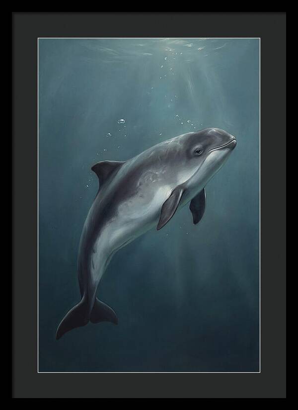 Porpoise Swimming Gracefully