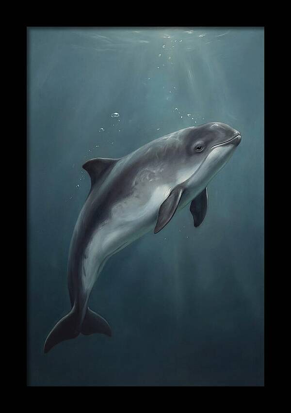 Porpoise Swimming Gracefully