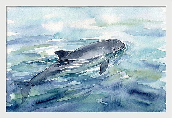 Porpoise Swimming In Tranquil Waters