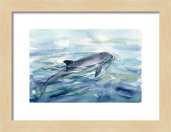 Porpoise Swimming In Tranquil Waters