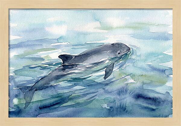 Porpoise Swimming In Tranquil Waters