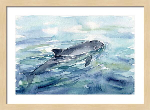 Porpoise Swimming In Tranquil Waters