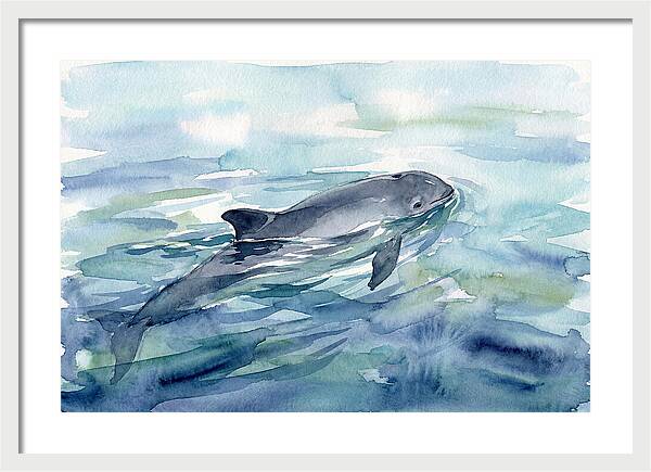 Porpoise Swimming In Tranquil Waters