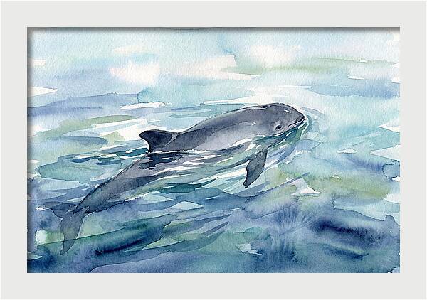 Porpoise Swimming In Tranquil Waters