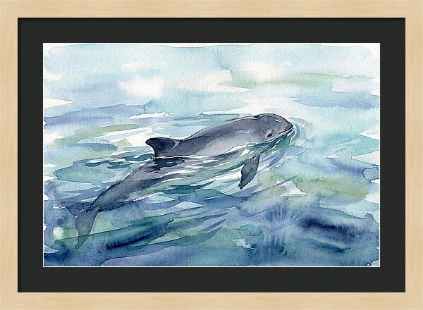 Porpoise Swimming In Tranquil Waters