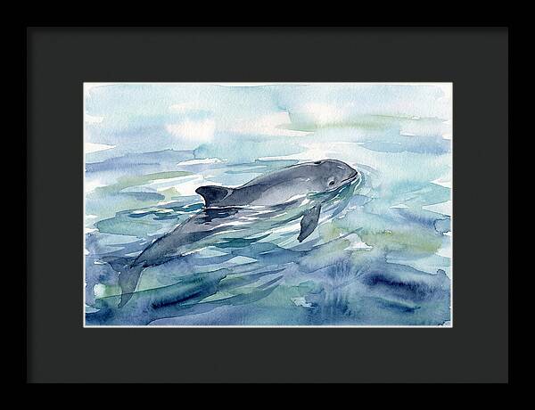 Porpoise Swimming In Tranquil Waters