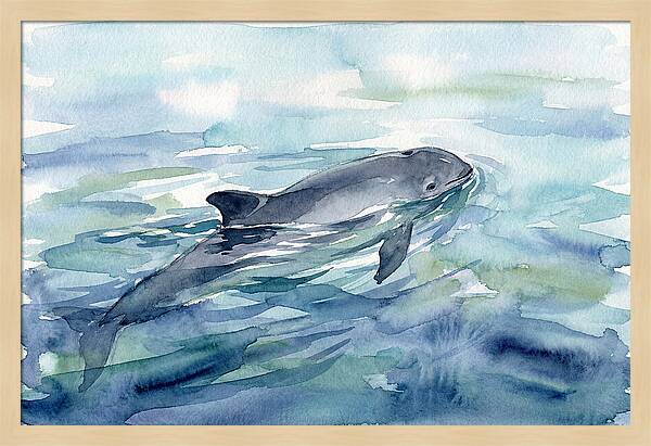Porpoise Swimming In Tranquil Waters