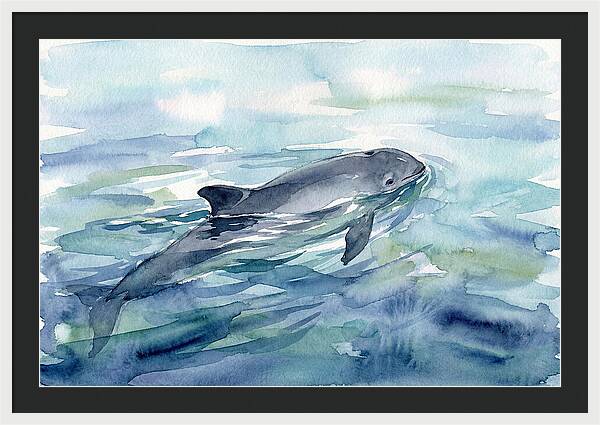 Porpoise Swimming In Tranquil Waters