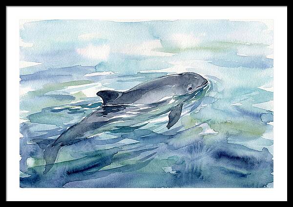 Porpoise Swimming In Tranquil Waters