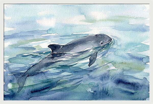 Porpoise Swimming In Tranquil Waters