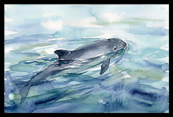 Porpoise Swimming In Tranquil Waters