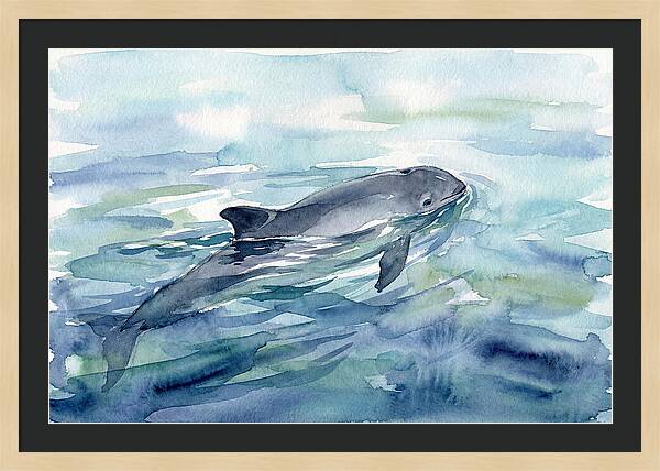 Porpoise Swimming In Tranquil Waters