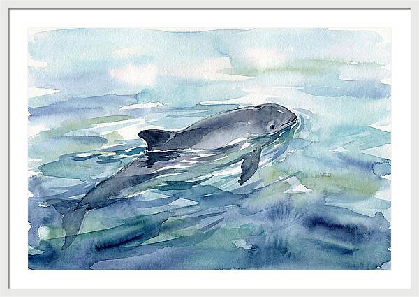 Porpoise Swimming In Tranquil Waters