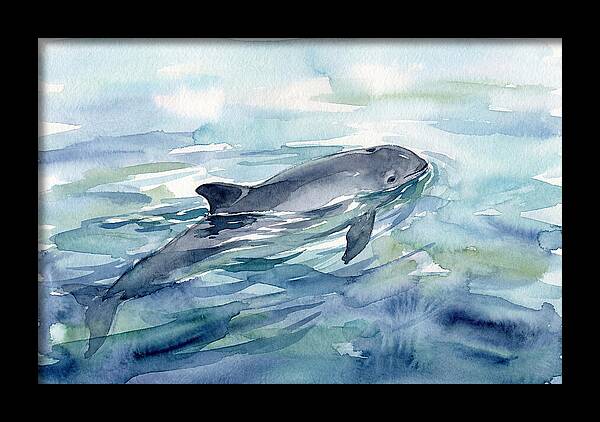 Porpoise Swimming In Tranquil Waters