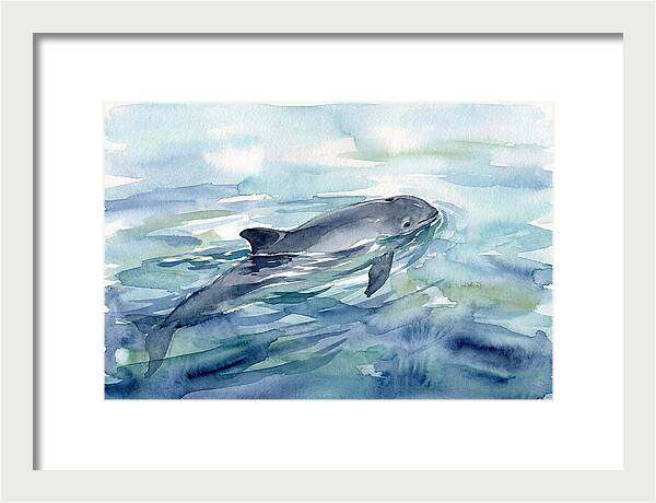 Porpoise Swimming In Tranquil Waters