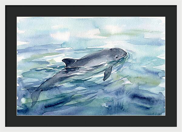 Porpoise Swimming In Tranquil Waters
