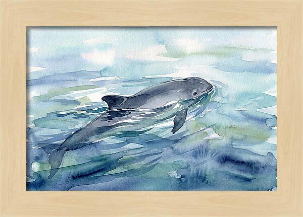 Porpoise Swimming In Tranquil Waters