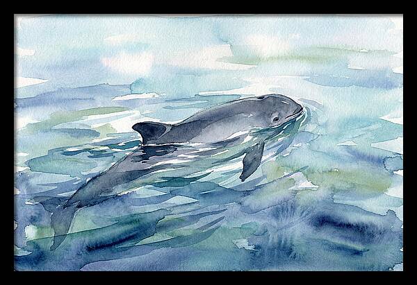 Porpoise Swimming In Tranquil Waters