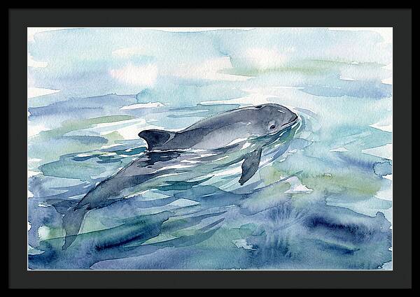 Porpoise Swimming In Tranquil Waters