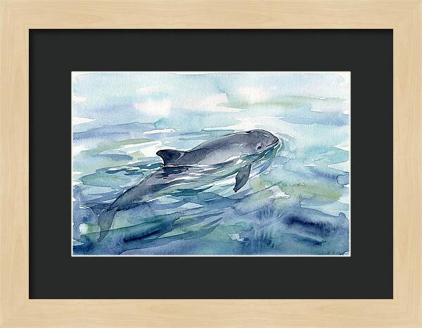 Porpoise Swimming In Tranquil Waters