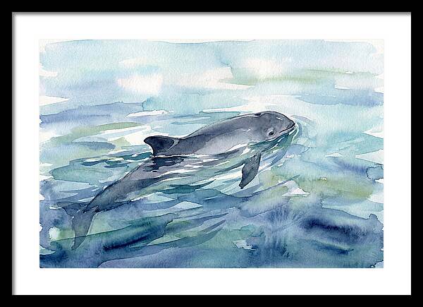 Porpoise Swimming In Tranquil Waters