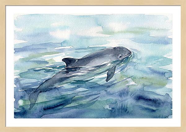 Porpoise Swimming In Tranquil Waters