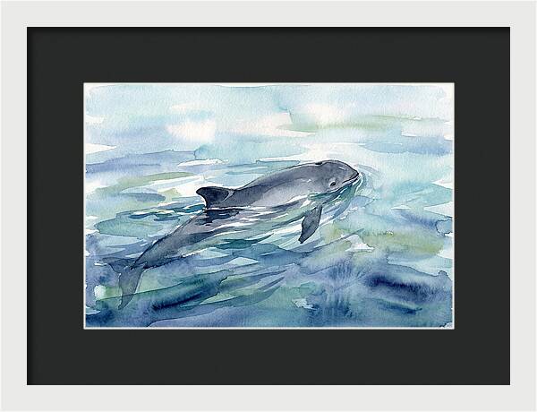 Porpoise Swimming In Tranquil Waters