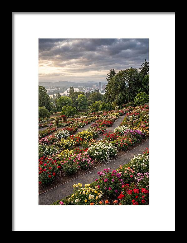 Portlands Blooming Tranquility