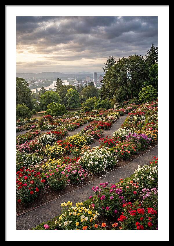 Portlands Blooming Tranquility