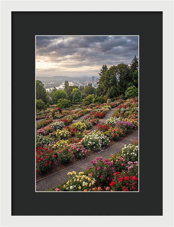 Portlands Blooming Tranquility