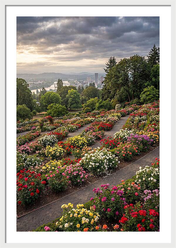 Portlands Blooming Tranquility