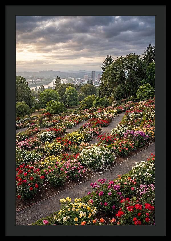 Portlands Blooming Tranquility