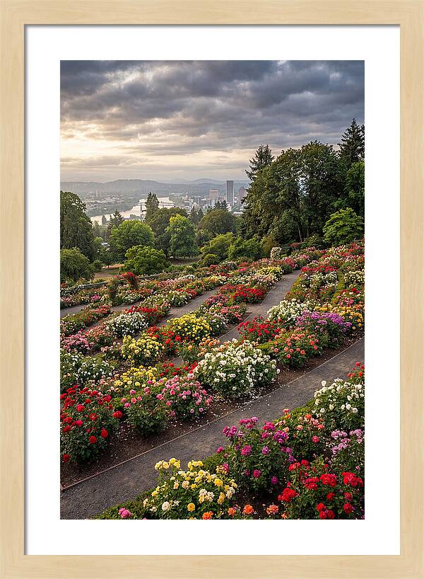 Portlands Blooming Tranquility