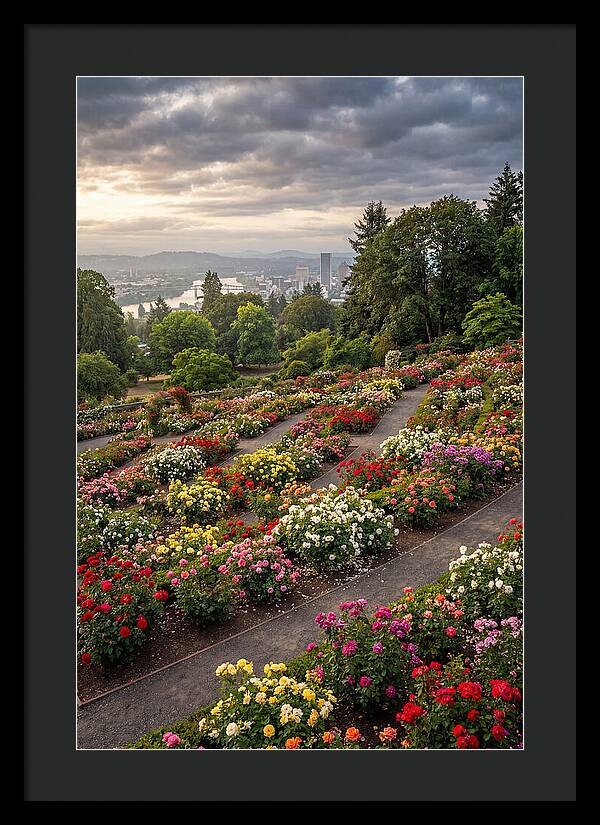 Portlands Blooming Tranquility
