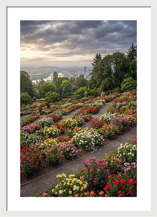 Portlands Blooming Tranquility